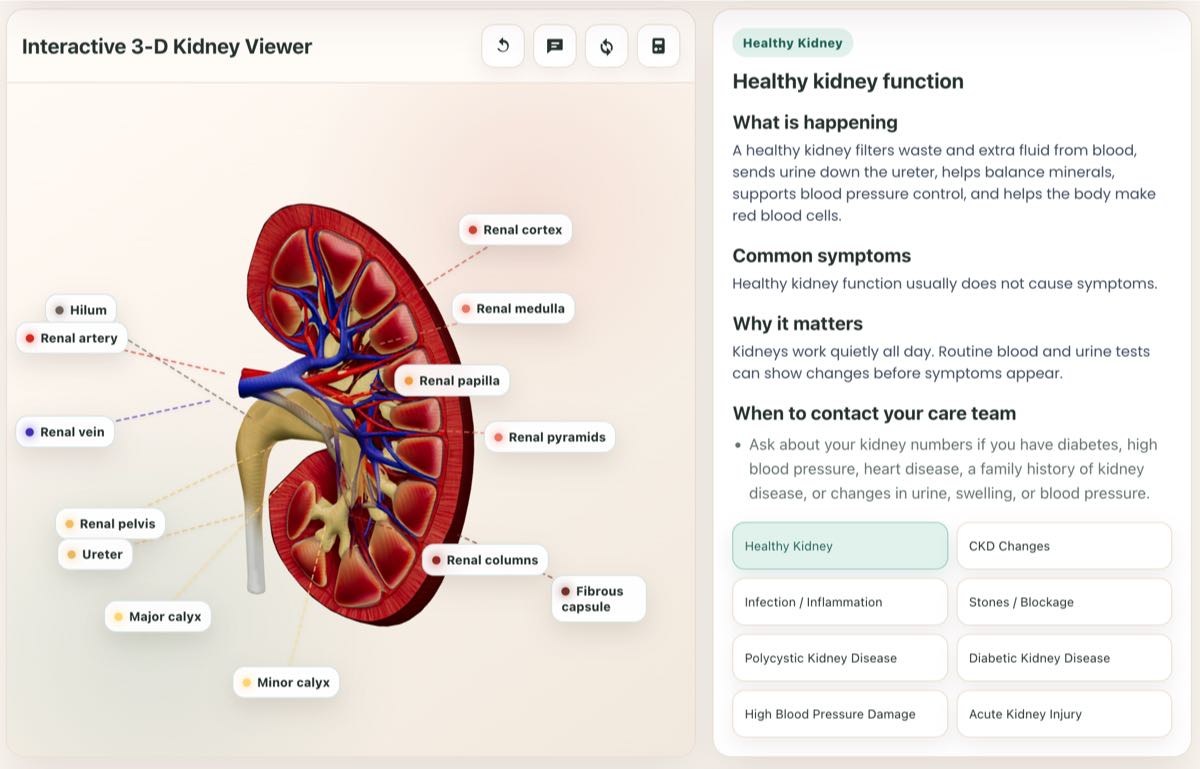 interactive 3d model